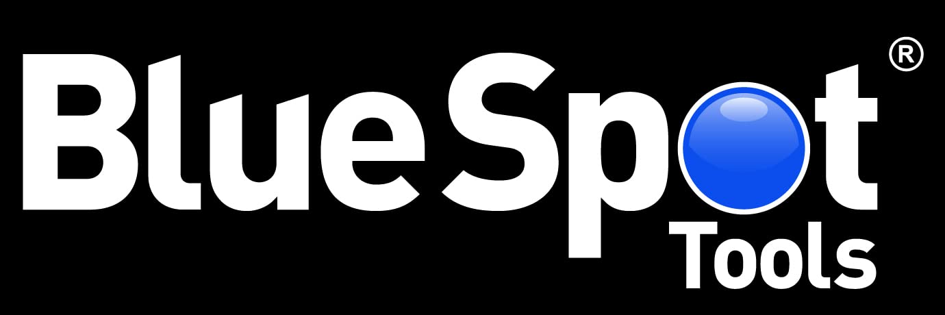 BLUE SPOT