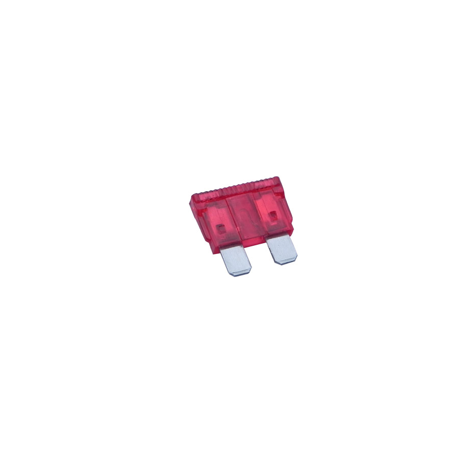 10 AMP Standard Auto Fuse